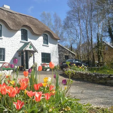 Lissyclearig Thatched 3* Kenmare