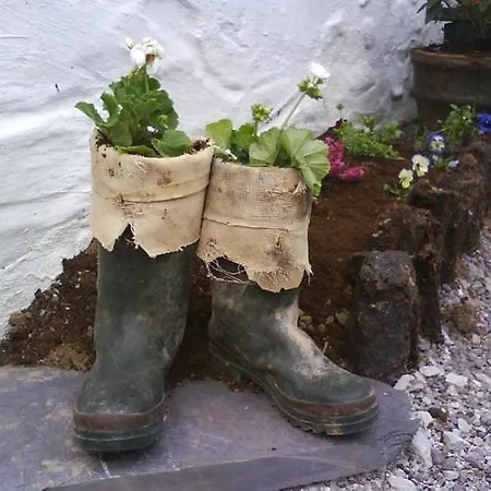 Lissyclearig Thatched