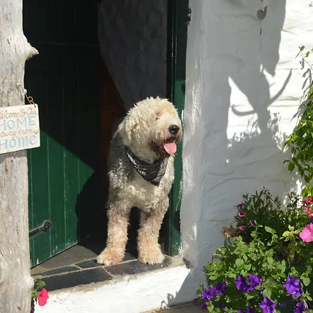Lissyclearig Thatched Bed and breakfast 3*