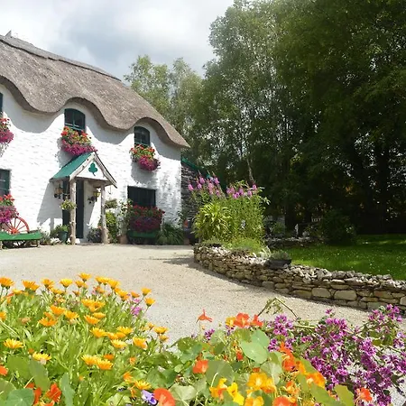 Bed and breakfast Lissyclearig Thatched Kenmare