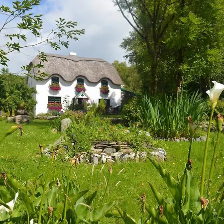 Bed and breakfast Lissyclearig Thatched