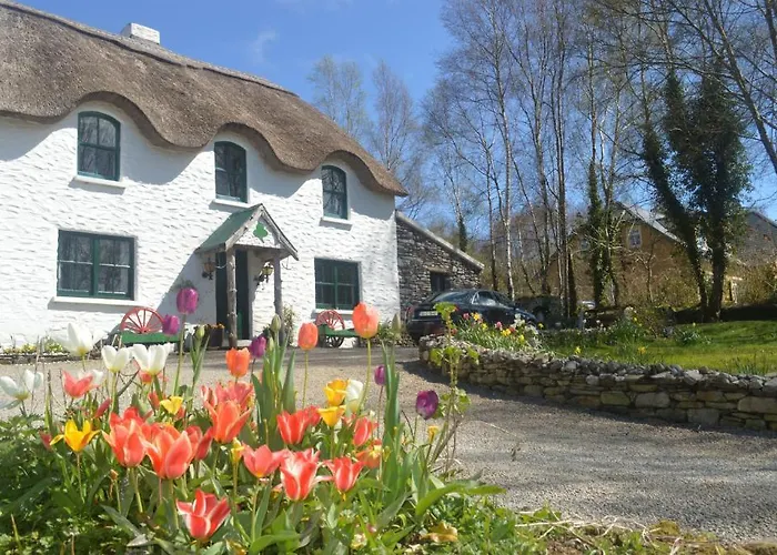 Lissyclearig Thatched 3* Kenmare