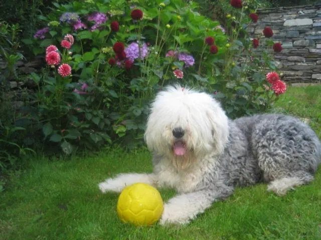 Lissyclearig Thatched 3* Kenmare