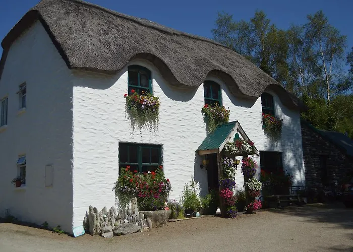 Bed and Breakfast Lissyclearig Thatched 3*