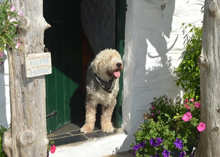 Lissyclearig Thatched Bed & Breakfast 3*