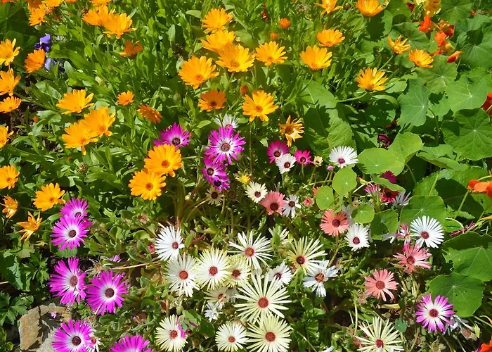 Lissyclearig Thatched 3*