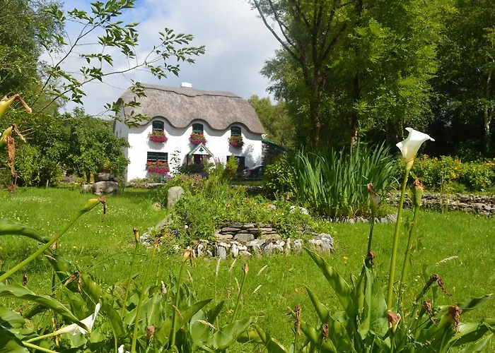 Bed & Breakfast Lissyclearig Thatched